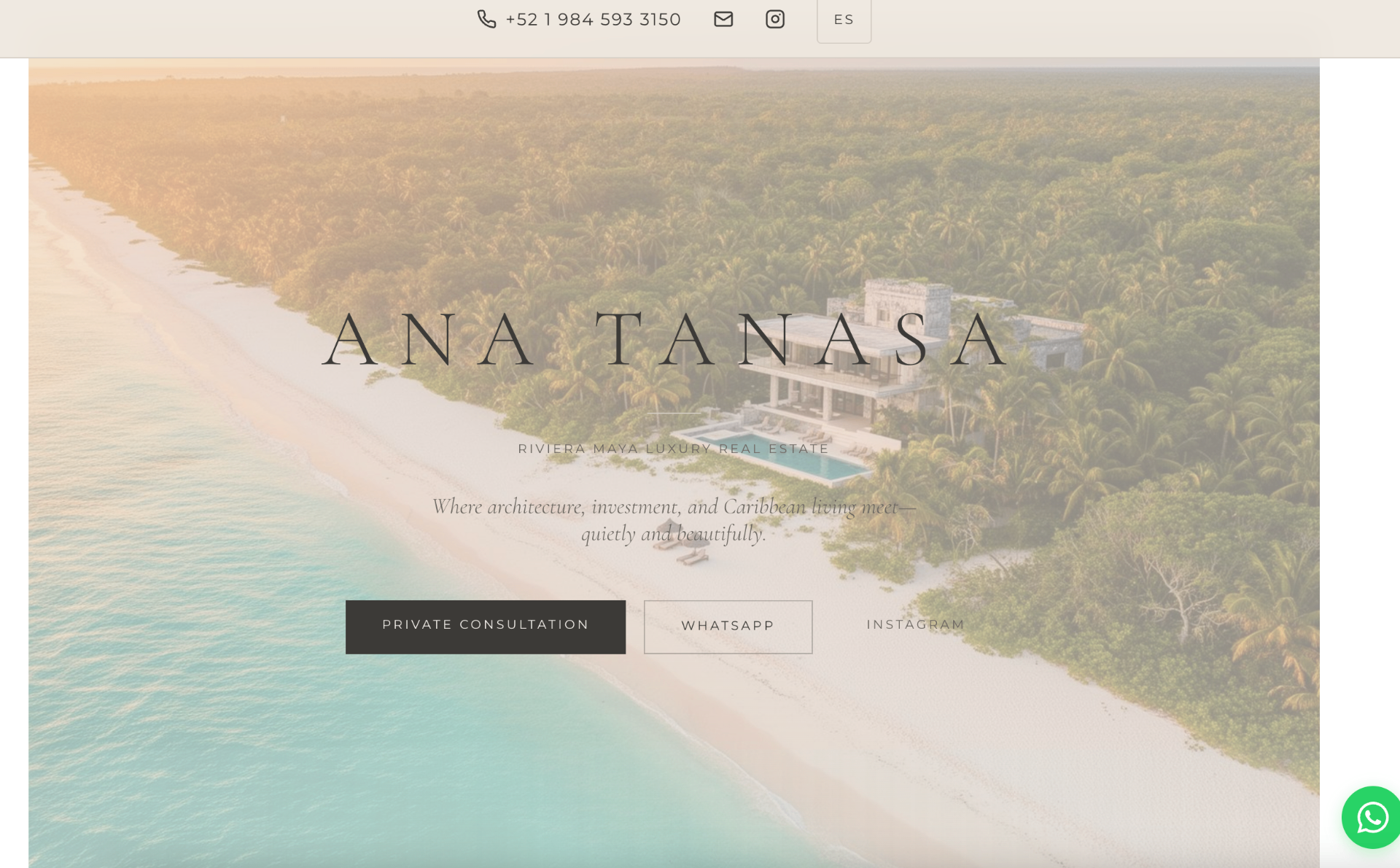 Ana Tanasa website preview